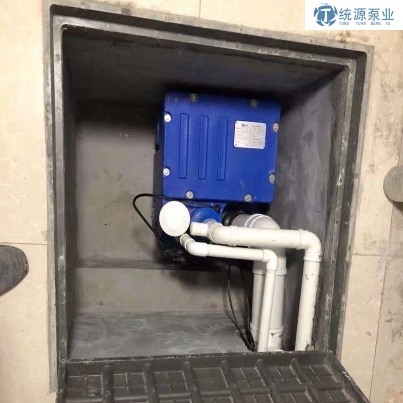 PE一體化污水提升器 TYTPE100L單泵 