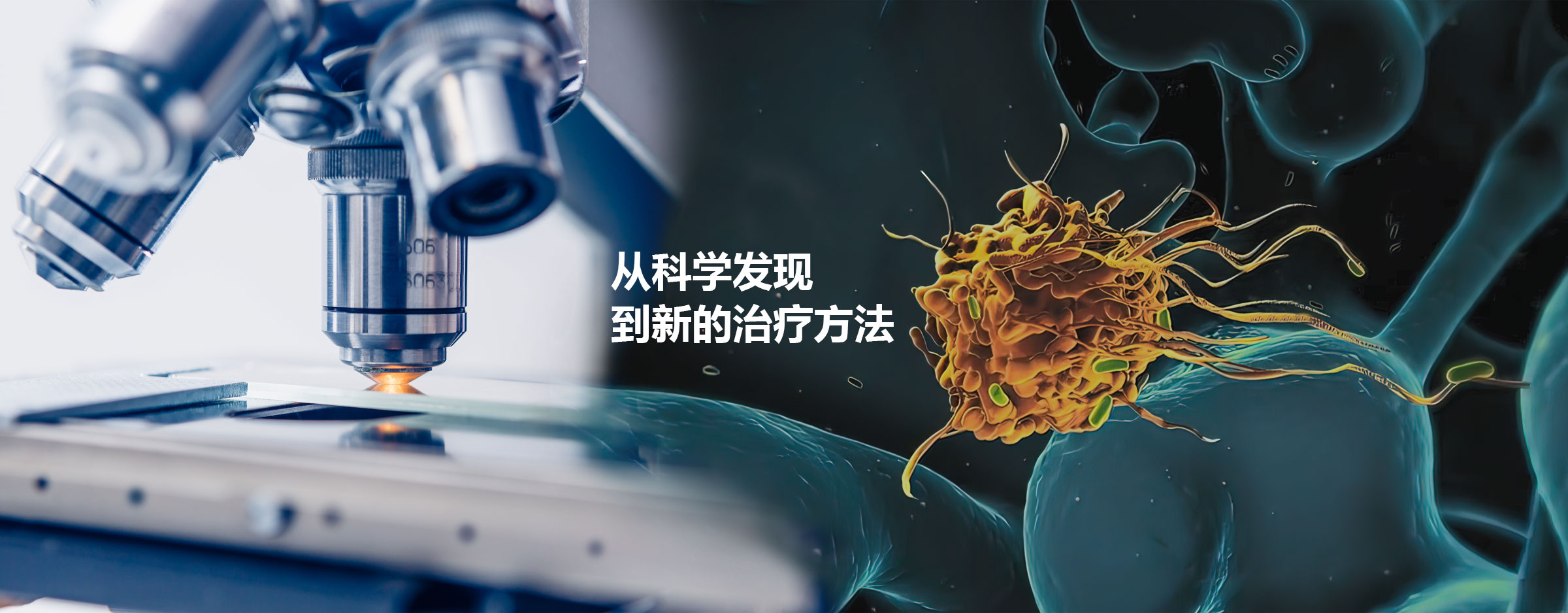 從科學發現 到新的治療方法